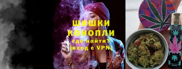сатива Касимов