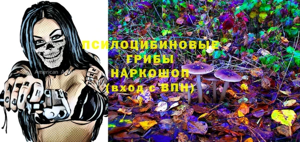 сатива Касимов