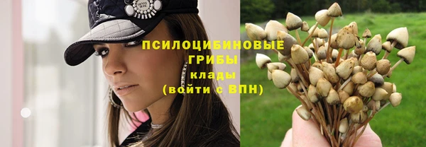 прущий лед Карталы