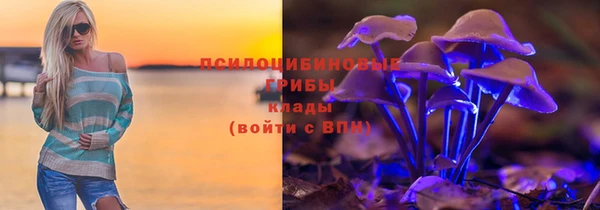 сатива Касимов
