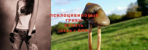 бошки Карпинск