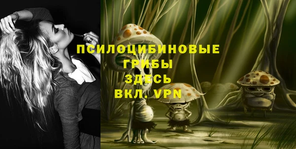 сатива Касимов