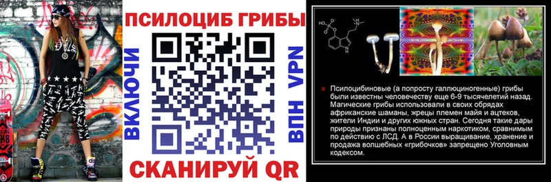 Купить где  Бежецк  Галлюциногенные грибы прущие грибы 